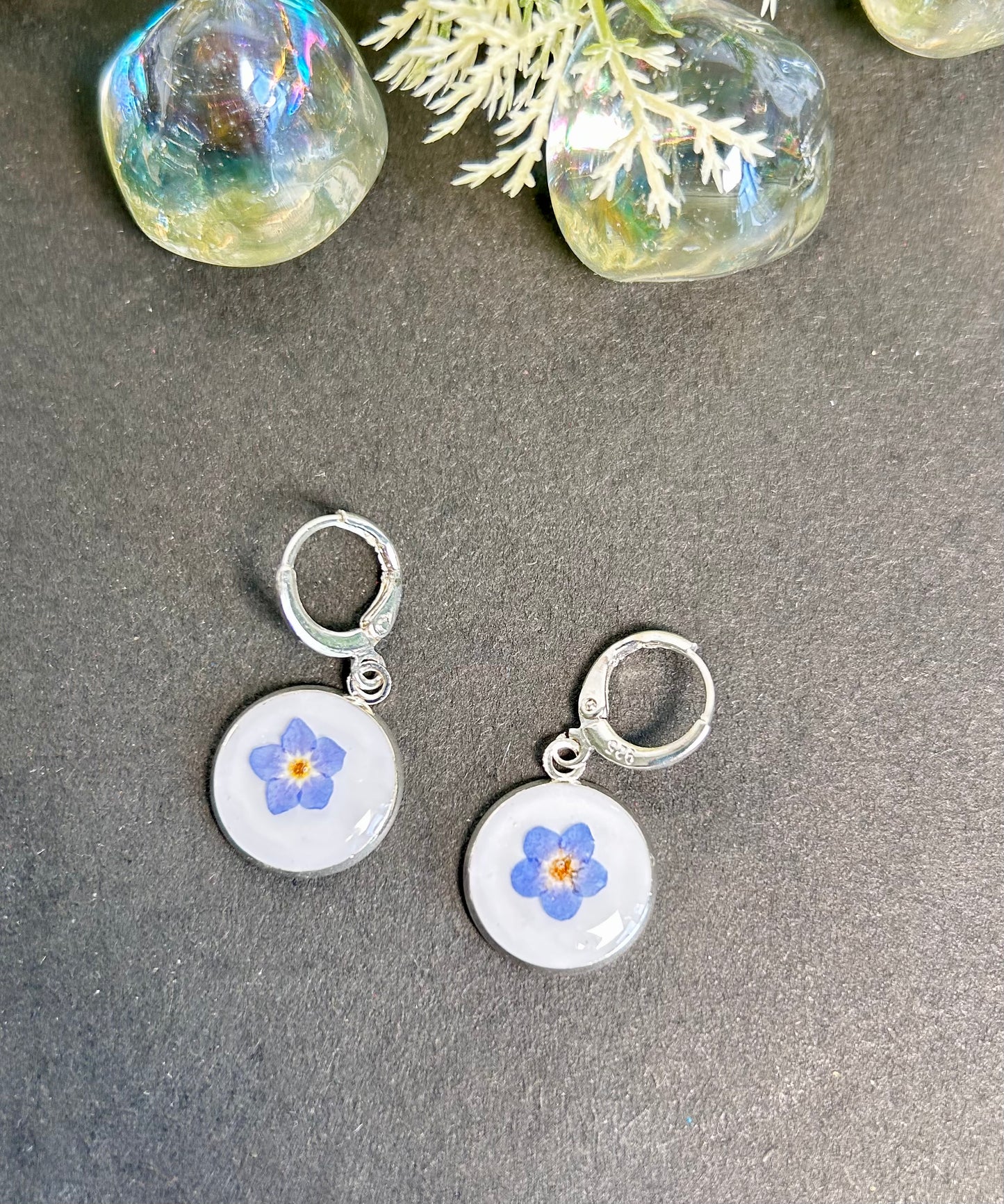 Forget-me-not dried flower 925 sterling-silver earrings