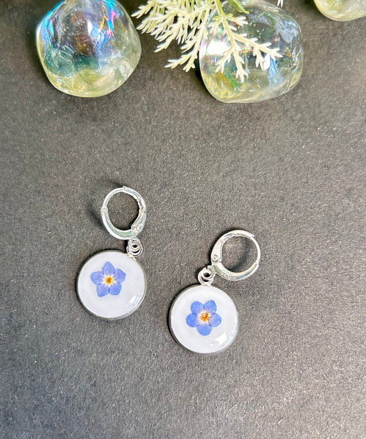 Forget-me-not dried flower 925 sterling-silver earrings