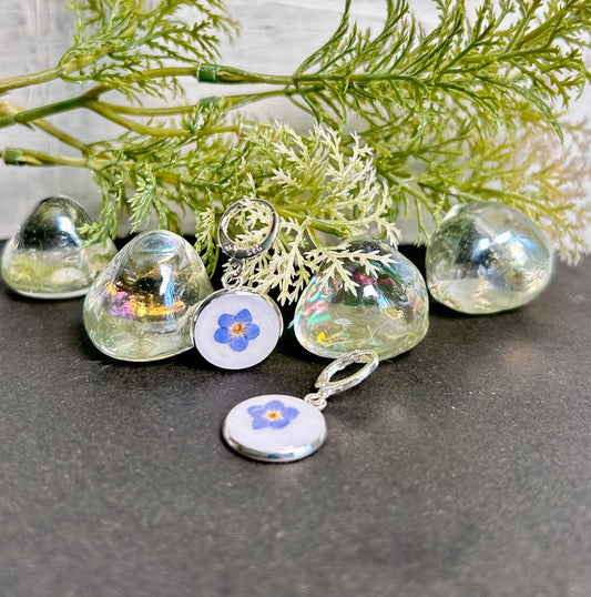 Forget-me-not dried flower 925 sterling-silver earrings