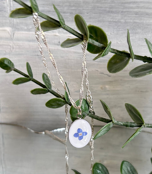 Forget-me-not 925 sterling silver plated necklace